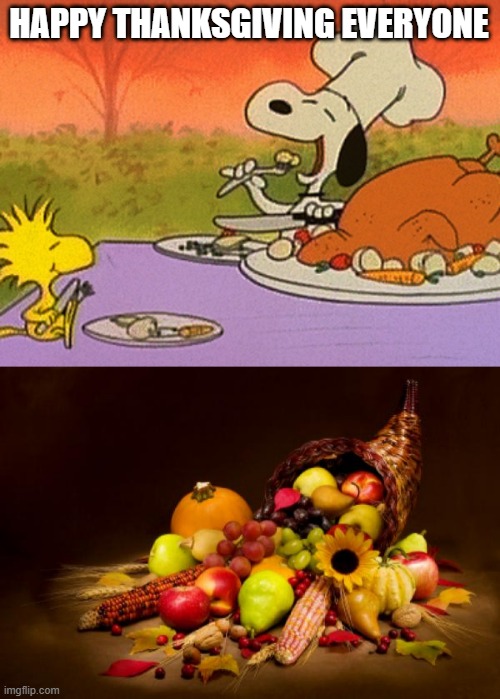 HELLO | HAPPY THANKSGIVING EVERYONE | image tagged in charlie brown thanksgiving,thanksgiving | made w/ Imgflip meme maker