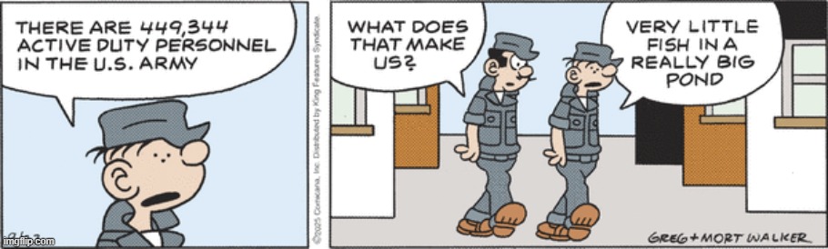 Beetle Bailey | image tagged in comics | made w/ Imgflip meme maker