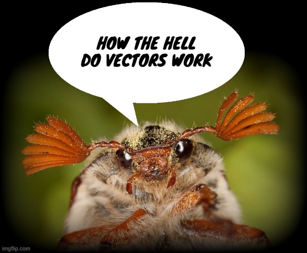 Doodlebug/odd announcement temp | HOW THE HELL DO VECTORS WORK | image tagged in doodlebug/odd announcement temp | made w/ Imgflip meme maker