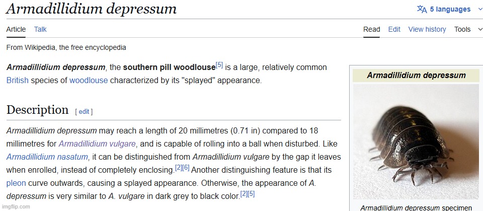 this is it. the greatest scientific animal name ever | made w/ Imgflip meme maker