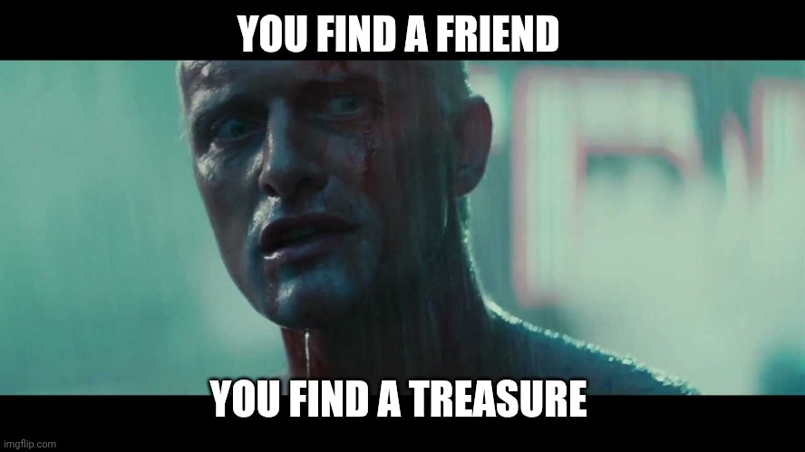Rutger Hauer Blade Runner Tears in the Rain | YOU FIND A FRIEND YOU FIND A TREASURE | image tagged in rutger hauer blade runner tears in the rain | made w/ Imgflip meme maker