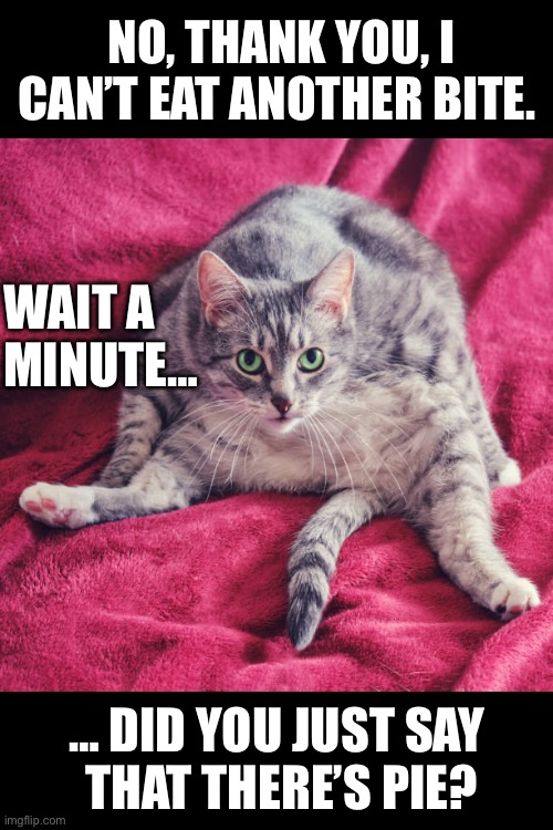 There’s always room for pie! | NO, THANK YOU, I CAN’T EAT ANOTHER BITE. WAIT A 
MINUTE…; … DID YOU JUST SAY 
THAT THERE’S PIE? | image tagged in cats,fat,full,pie,always room for pie | made w/ Imgflip meme maker