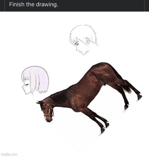 finish the drawing | image tagged in finish the drawing | made w/ Imgflip meme maker