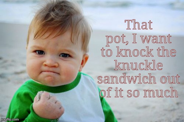 Success Kid Original Meme | That pot, I want to knock the knuckle sandwich out of it so much | image tagged in memes,success kid original | made w/ Imgflip meme maker