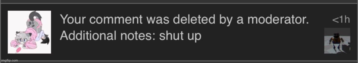 terrible moderations | made w/ Imgflip meme maker