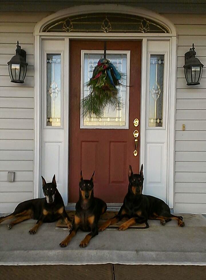 Chrisjoines1 Blank Meme Template