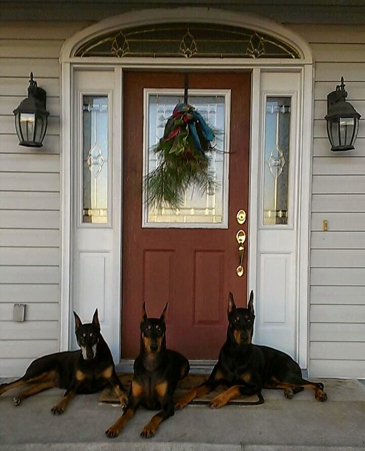 Chrisjoines1 Blank Meme Template