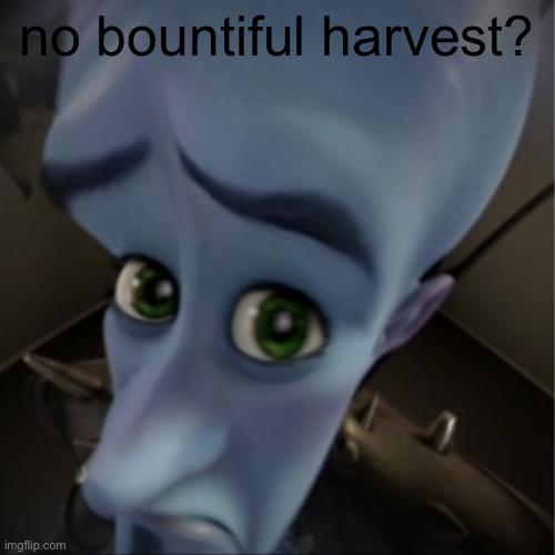 Megamind peeking | no bountiful harvest? | image tagged in megamind peeking | made w/ Imgflip meme maker