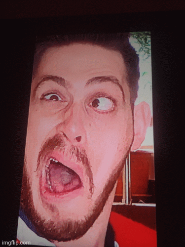 Wigofellas | image tagged in gifs,funny memes,lol so funny | made w/ Imgflip images-to-gif maker