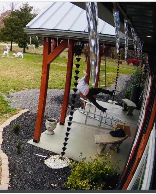 How to not install Govee Lights Blank Meme Template