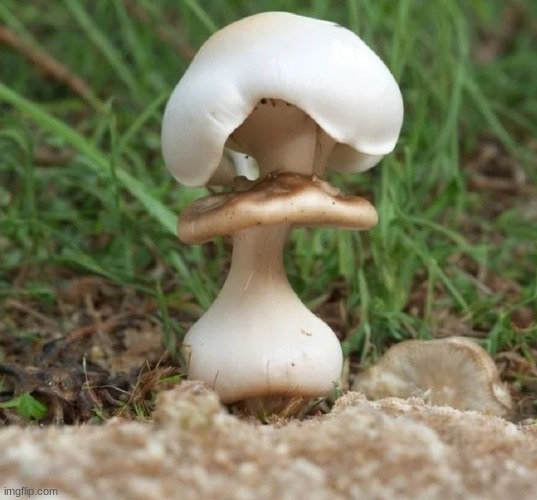 get out of my head | made w/ Imgflip meme maker