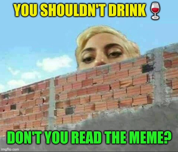 Lady Gaga behind a brick wall | YOU SHOULDN'T DRINK? DON'T YOU READ THE MEME? | image tagged in lady gaga behind a brick wall | made w/ Imgflip meme maker