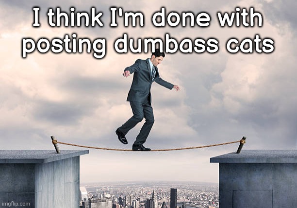 man walking on rope | I think I'm done with
posting dumbass cats | image tagged in man walking on rope | made w/ Imgflip meme maker
