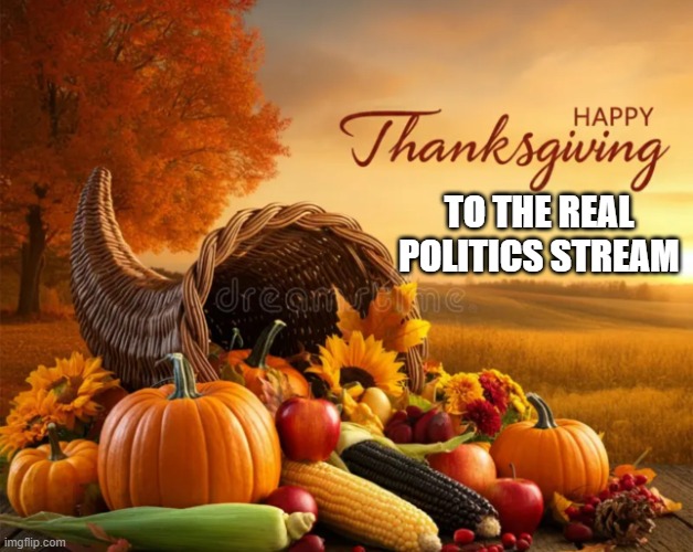 Happy Thanksgiving Silent | TO THE REAL POLITICS STREAM | image tagged in happy thanksgiving silent,stream,real,politics | made w/ Imgflip meme maker