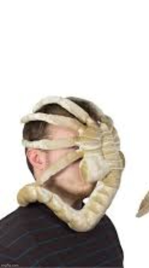 Face Hugger Aliens | image tagged in face hugger aliens | made w/ Imgflip meme maker