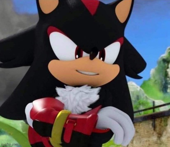 Shadow the Hedgehog | image tagged in shadow the hedgehog | made w/ Imgflip meme maker
