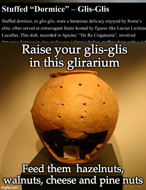 Raise your glis-glis in this glirarium Feed them  hazelnuts, walnuts, cheese and pine nuts | made w/ Imgflip meme maker