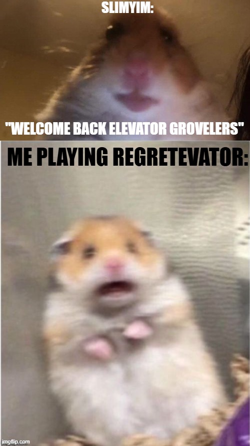 Regretevator slimyim meme | SLIMYIM:; "WELCOME BACK ELEVATOR GROVELERS"; ME PLAYING REGRETEVATOR: | image tagged in scared hamster | made w/ Imgflip meme maker