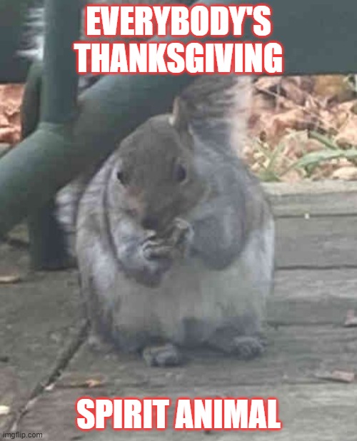 Spirit Animal | EVERYBODY'S THANKSGIVING; SPIRIT ANIMAL | image tagged in thanksgiving,squirrel,funny | made w/ Imgflip meme maker