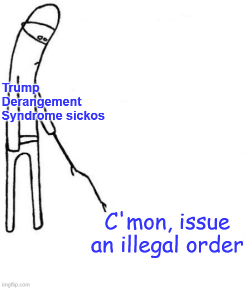 c'mon do something | Trump Derangement Syndrome sickos C'mon, issue an illegal order | image tagged in c'mon do something | made w/ Imgflip meme maker
