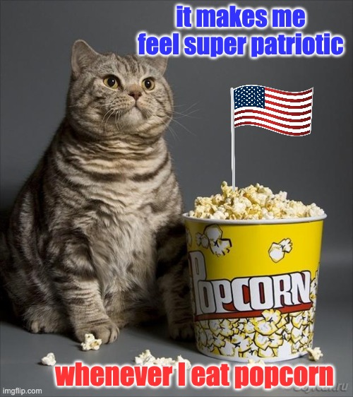 What I've been told about the original Thanksgiving: popcorn was served | it makes me feel super patriotic whenever I eat popcorn | image tagged in cat eating popcorn,america,history,food | made w/ Imgflip meme maker