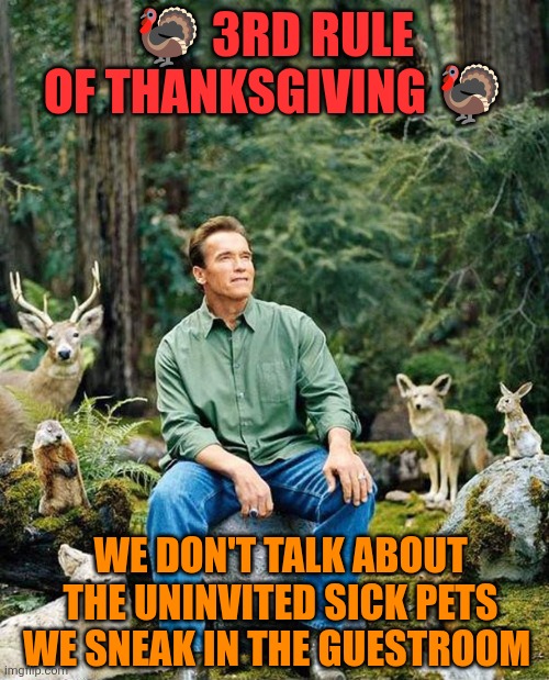 3rd rule of Thanksgiving: uninvited pets | 🦃 3RD RULE OF THANKSGIVING 🦃; WE DON'T TALK ABOUT THE UNINVITED SICK PETS WE SNEAK IN THE GUESTROOM | image tagged in thanksgiving,family,friends,blessings,grateful,fatherhood | made w/ Imgflip meme maker