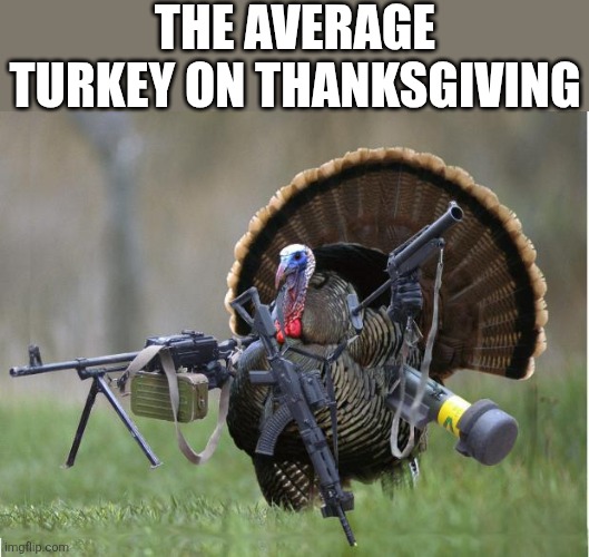 turkey | THE AVERAGE TURKEY ON THANKSGIVING | image tagged in turkey,thanksgiving,happy thanksgiving | made w/ Imgflip meme maker