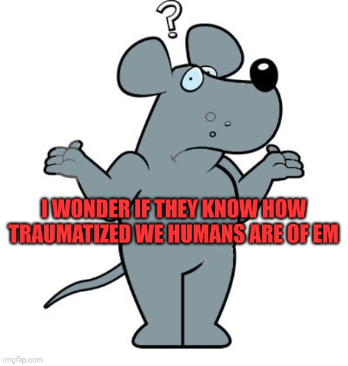 rat | I WONDER IF THEY KNOW HOW TRAUMATIZED WE HUMANS ARE OF EM | image tagged in rat | made w/ Imgflip meme maker