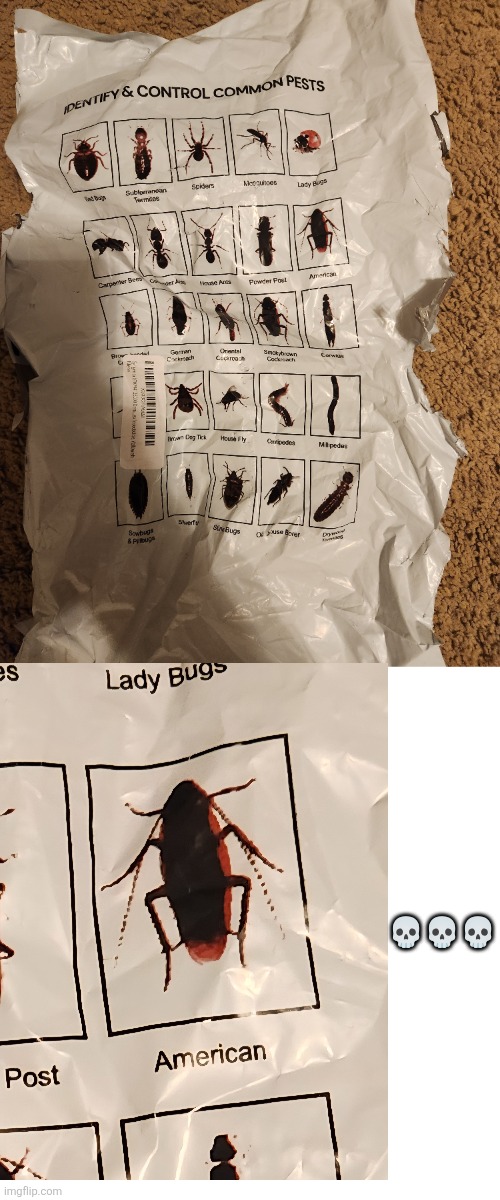 bruh | 💀💀💀 | image tagged in bruh moment | made w/ Imgflip meme maker