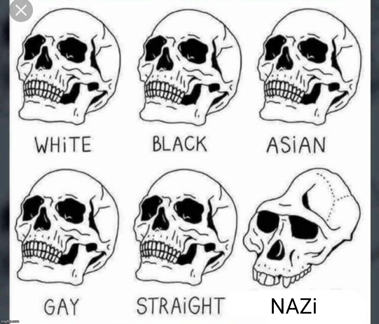 White Black Asian Gay Straight skull template | NAZi | image tagged in white black asian gay straight skull template | made w/ Imgflip meme maker