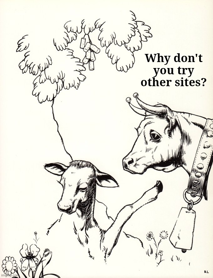 Why don't you try other sites? | made w/ Imgflip meme maker