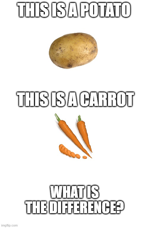 if you get it right youll get a donut | THIS IS A POTATO; THIS IS A CARROT; WHAT IS THE DIFFERENCE? | image tagged in potato,carrot,what is the difference | made w/ Imgflip meme maker