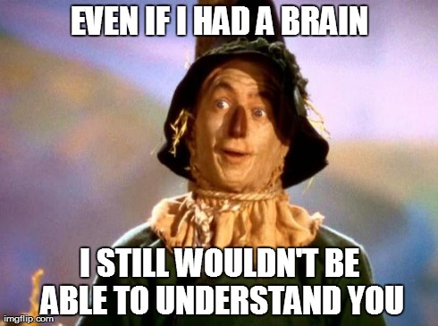Brains! | EVEN IF I HAD A BRAIN I STILL WOULDN'T BE ABLE TO UNDERSTAND YOU | image tagged in brains | made w/ Imgflip meme maker