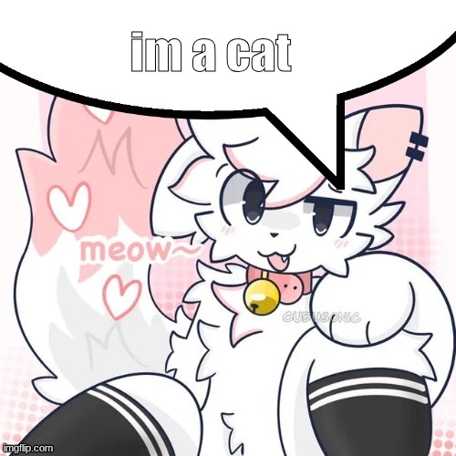 i was too lazy to make another one :( | im a cat | image tagged in femboy boykisser speech bubble,fun | made w/ Imgflip meme maker