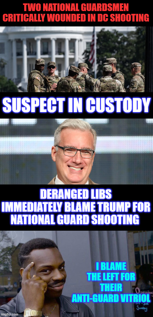 That's all liberals have, Blame Trump. | TWO NATIONAL GUARDSMEN CRITICALLY WOUNDED IN DC SHOOTING; SUSPECT IN CUSTODY; DERANGED LIBS IMMEDIATELY BLAME TRUMP FOR NATIONAL GUARD SHOOTING; I BLAME THE LEFT FOR THEIR ANTI-GUARD VITRIOL | image tagged in memes,roll safe think about it,vile lib rhetoric,painting a bullseye on the guard | made w/ Imgflip meme maker
