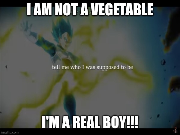 Demonstrating my Saiya Style | I AM NOT A VEGETABLE; I'M A REAL BOY!!! | image tagged in sunrise,fist of the north star,dragonballz,how to train your dragon,for christmas i want a dragon,three-headed dragon | made w/ Imgflip meme maker