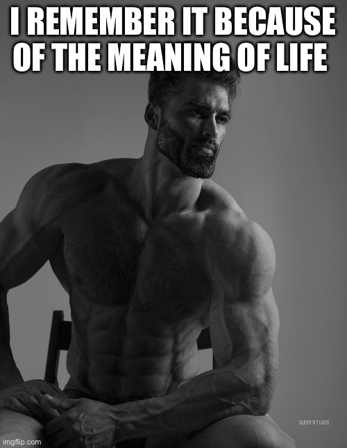 Giga Chad | I REMEMBER IT BECAUSE OF THE MEANING OF LIFE | image tagged in giga chad | made w/ Imgflip meme maker