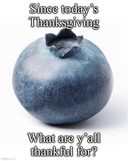 Blueberry | Since today’s Thanksgiving; What are y’all thankful for? | image tagged in blueberry | made w/ Imgflip meme maker