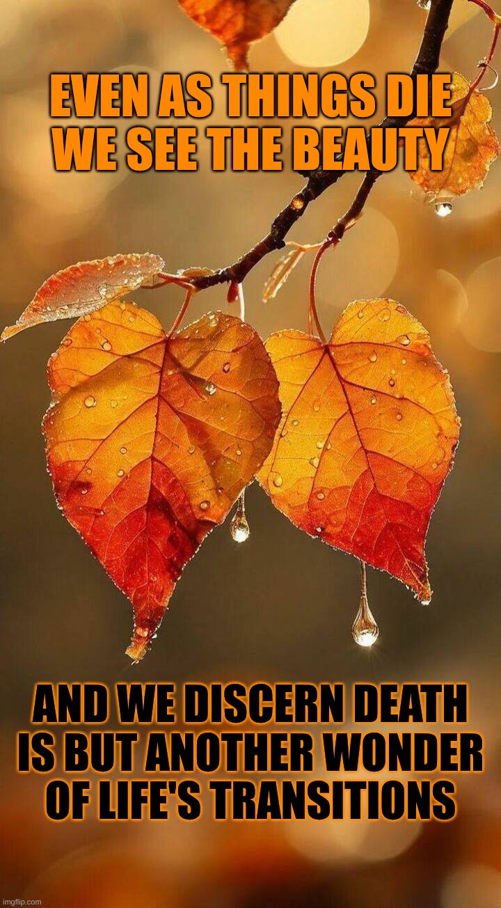Death | EVEN AS THINGS DIE
WE SEE THE BEAUTY; AND WE DISCERN DEATH
IS BUT ANOTHER WONDER
OF LIFE'S TRANSITIONS | image tagged in death,transition,beautiful | made w/ Imgflip meme maker