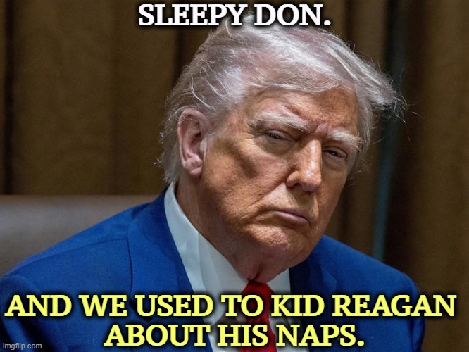 Trump's nap extends till noon. He doesn't like being awakened. | SLEEPY DON. AND WE USED TO KID REAGAN 
ABOUT HIS NAPS. | image tagged in trump's nap extends till noon he doesn't like being awakened,sleepy don,trump,nap,sleep,reagan | made w/ Imgflip meme maker