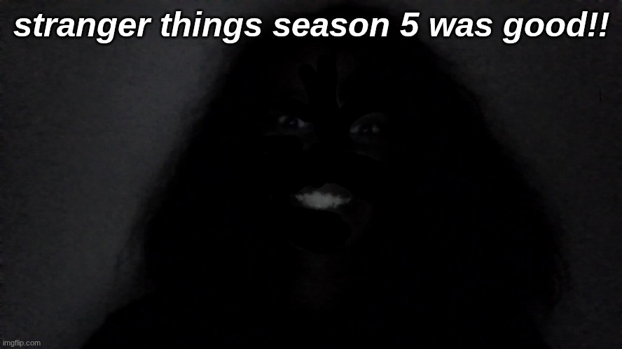 my room is soo darkkkk | stranger things season 5 was good!! | image tagged in stranger things,why are you reading the tags,lmao | made w/ Imgflip meme maker