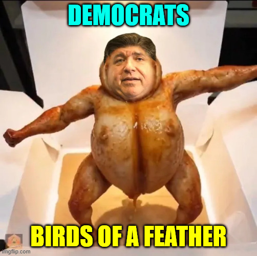 DEMOCRATS BIRDS OF A FEATHER | made w/ Imgflip meme maker