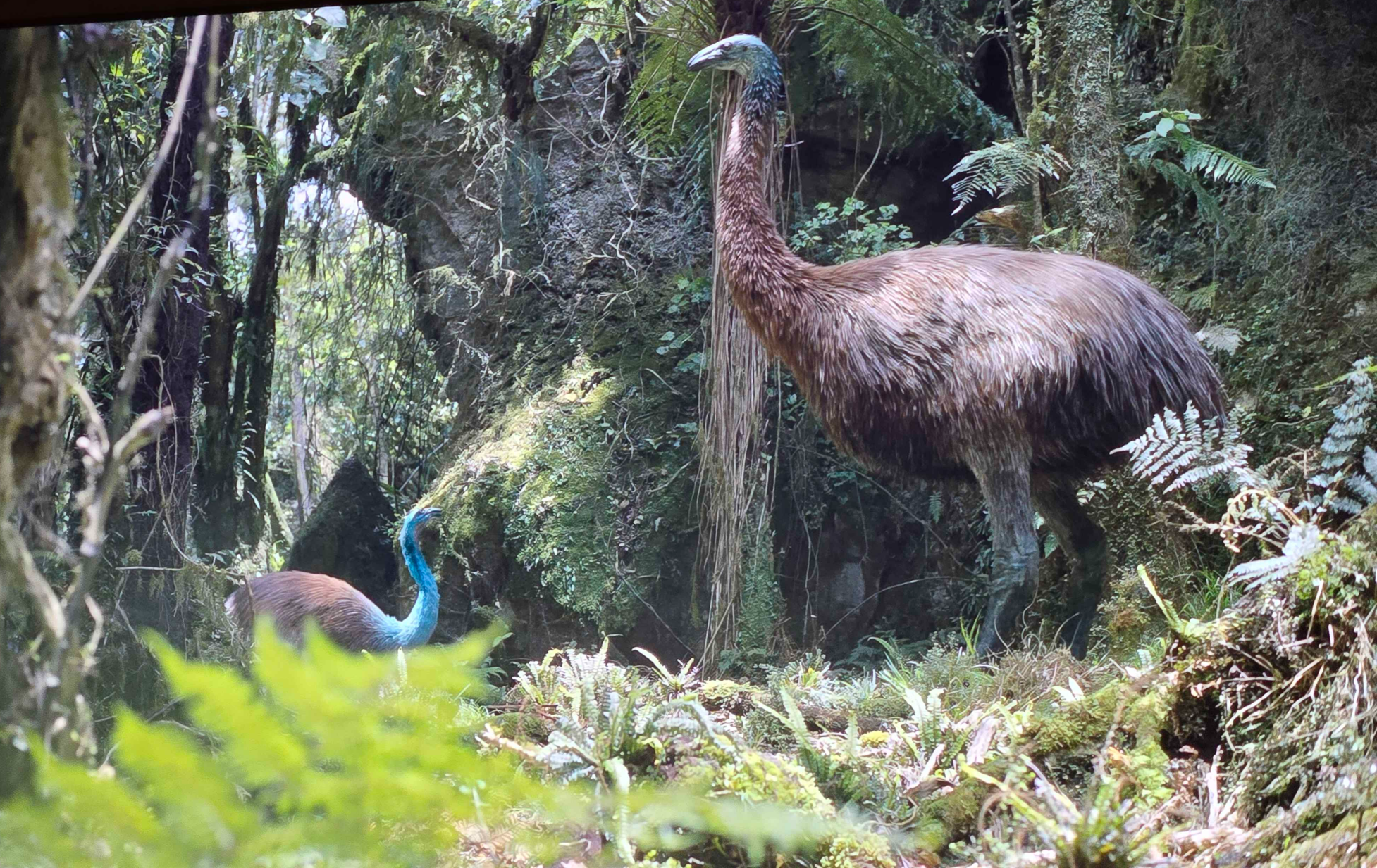 Bird Blank Meme Template