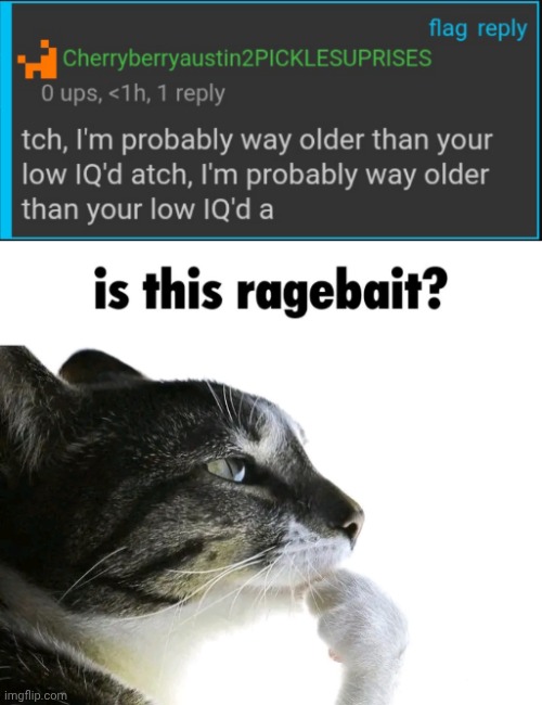 image tagged in is this ragebait | made w/ Imgflip meme maker