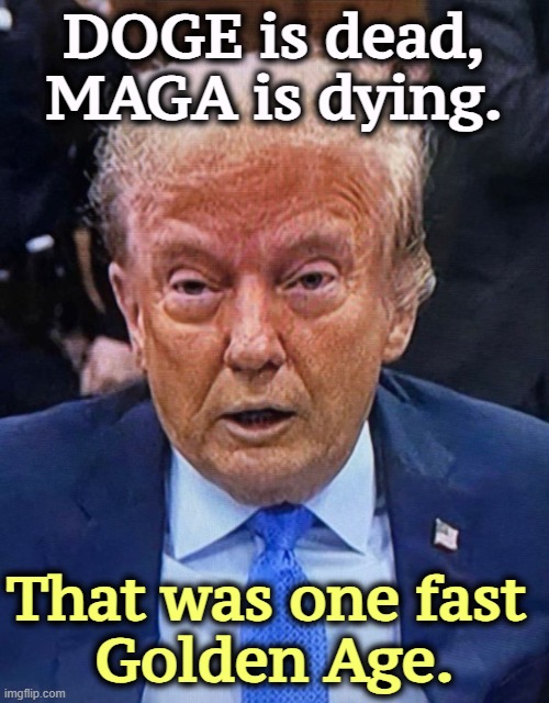 Trump dilated crazy senile dementia | DOGE is dead, MAGA is dying. That was one fast 
Golden Age. | image tagged in trump dilated crazy senile,trump,dilated,crazy,senile,dementia | made w/ Imgflip meme maker
