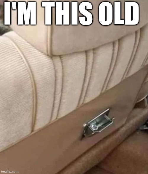 I'm This Old | I'M THIS OLD | image tagged in chrisjoines1 | made w/ Imgflip meme maker