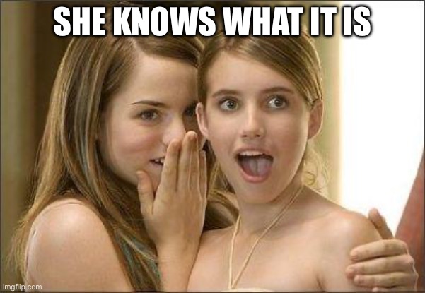 SHE KNOWS WHAT IT IS | image tagged in girls gossiping | made w/ Imgflip meme maker