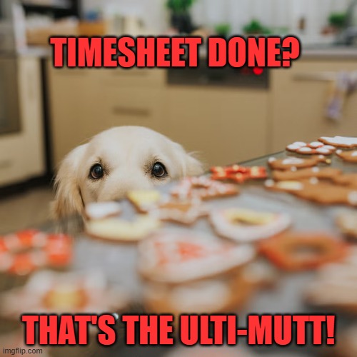 dog timesheet reminder | TIMESHEET DONE? THAT'S THE ULTI-MUTT! | image tagged in dog timesheet reminder,timesheet reminder,timesheet meme | made w/ Imgflip meme maker