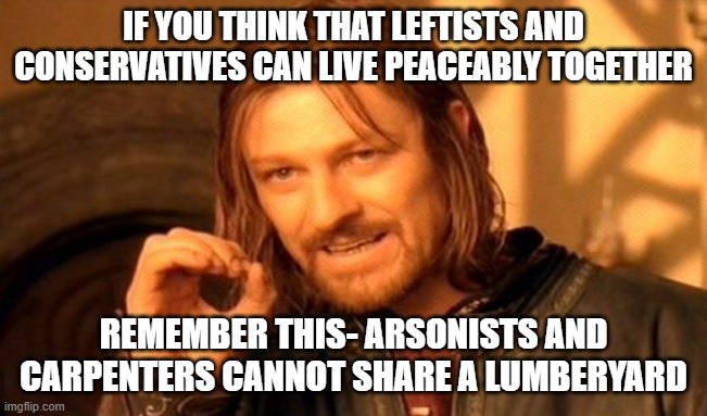 One Does Not Simply | IF YOU THINK THAT LEFTISTS AND CONSERVATIVES CAN LIVE PEACEABLY TOGETHER; REMEMBER THIS- ARSONISTS AND CARPENTERS CANNOT SHARE A LUMBERYARD | image tagged in memes,one does not simply | made w/ Imgflip meme maker