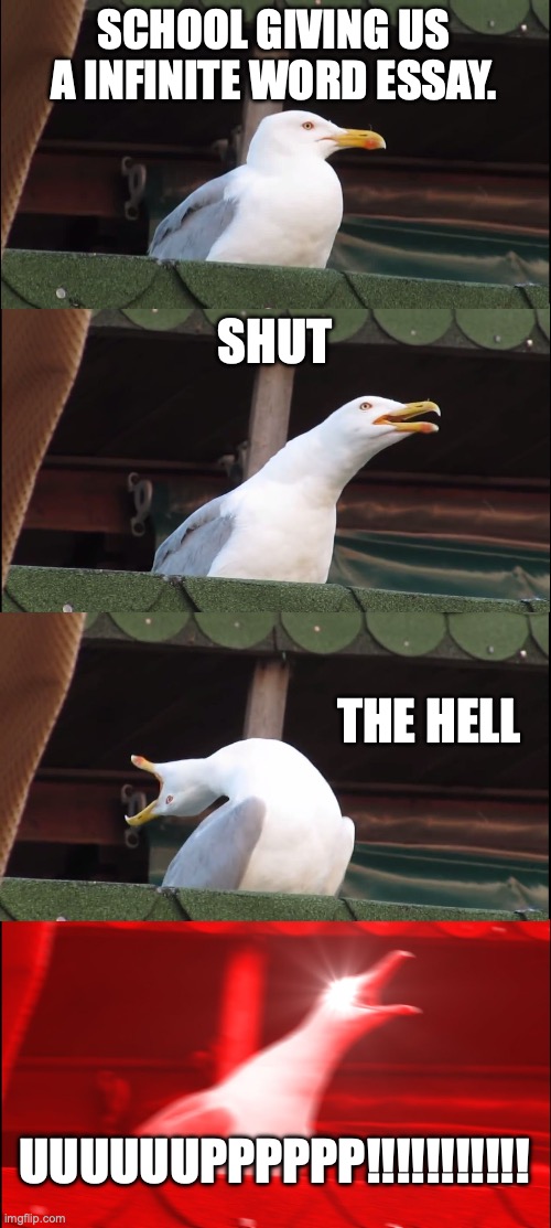I hate school, what about you | SCHOOL GIVING US A INFINITE WORD ESSAY. SHUT; THE HELL; UUUUUUPPPPPP!!!!!!!!!!! | image tagged in memes,inhaling seagull | made w/ Imgflip meme maker